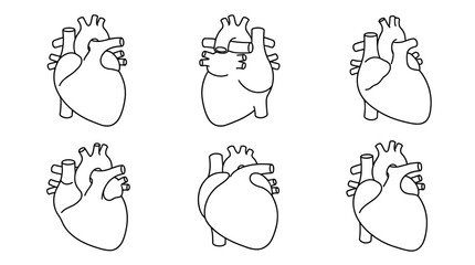 Fototapeta premium Set of human heart anatomy vector icons in outline style, medical cardiology symbols, cardiovascular system health, biological diagrams, scientific