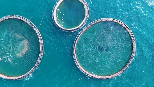 Aerial view of a large fish farm in Corfu