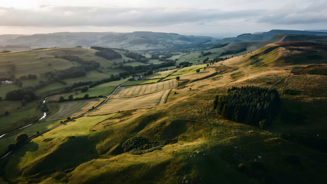 Aerial landscape of rolling green hills and agricultural fields in a valley during sunrise with golden light and a small forest patch visible