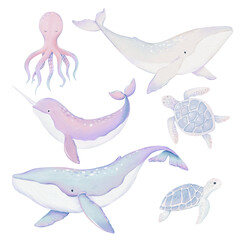 Watercolor hand-drawn clip art with marine life - whale, octopus, turtle, whale, turtle, octopus, narwhal © Svetlana