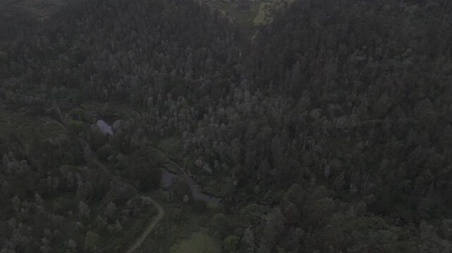 Aerial drone view of terrace garlic farms and stepped agricultural fields in Poondi, Palani Hills, Western Ghats, Tamil Nadu, surrounded by native trees and lush vegetation on a monsoon evening.