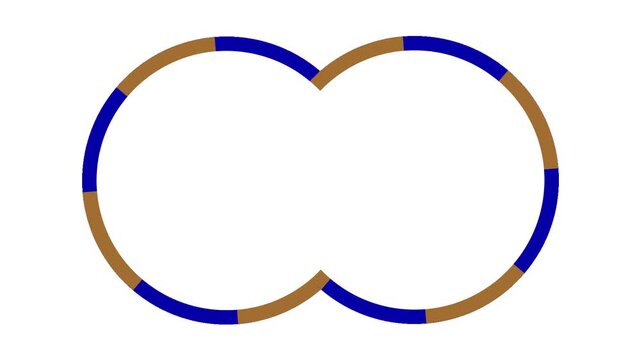 Round geometric pattern with brown and blue circle animation video on a white background
