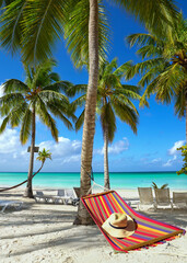 Obraz premium caribean beach with hammock and palm trees