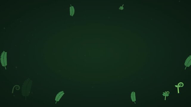 Fern frond unfurling from a spiral over dark background seamless loop
