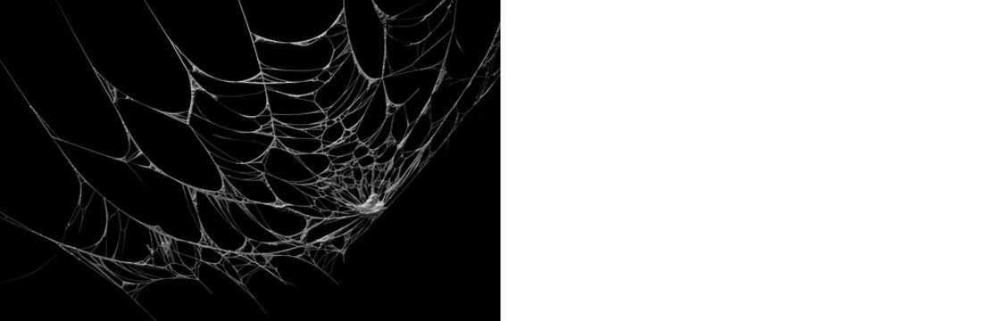 Realistic spider web PNG overlay with black preview and transparent version for Halloween design, horror editing and spooky compositions.