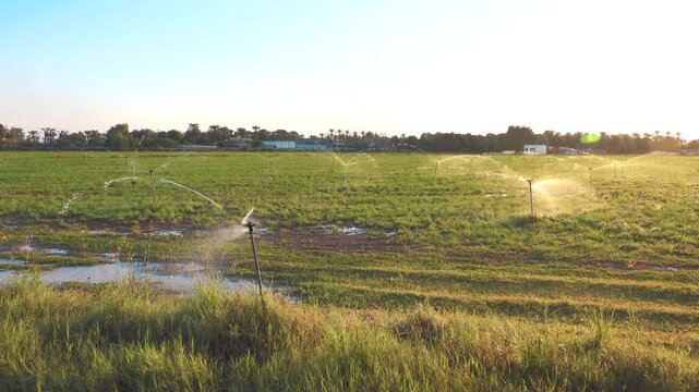 Sprinklers installed on a meadow site in the desert. Precious water in Oman. The Arabian Desert