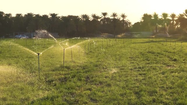 Sprinklers installed on a meadow site in the desert. Precious water in Oman. The Arabian Desert