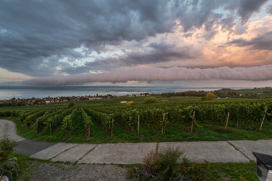 A rare stratocumulus volutus roll cloud forms over lush vineyards along Lake Constance during a dramatic dawn sunrise. Hagnau. Starenturm Lookout.