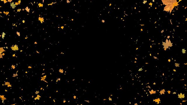 Seamless loop 3D animation of vibrant yellow, red and orange autumn maple leaves flying towards camera. Heavy leaf fall overlay in 4K resolution with alpha channel transparency.