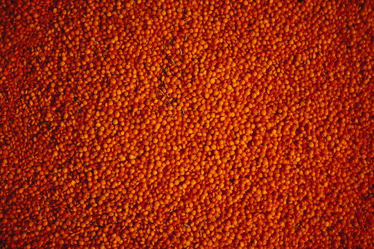 Raw red lentils background texture for healthy food concepts