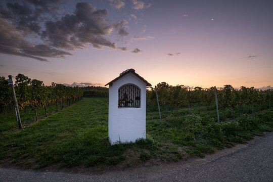 A small white wayside shrine stands in a peaceful vineyard at sunrise near Lake Constance, under a soft twilight sky with a crescent moon. Hagnau.