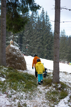 Winter adventure unfolds as a parent and child trek through a snowy landscape towards a distant snowy hill surrounded by tall evergreen trees