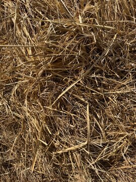 hay bale background