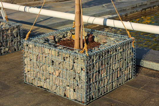 A tree in a gabion plant stand - stones in a metal mesh block. A modern urban landscaping design