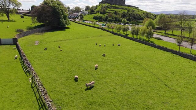 Aerial view of the historic Rock of Cashel surrounded by green pastures with grazing sheep, stone walls, and rural roads in Cashel, County Tipperary, Ireland.