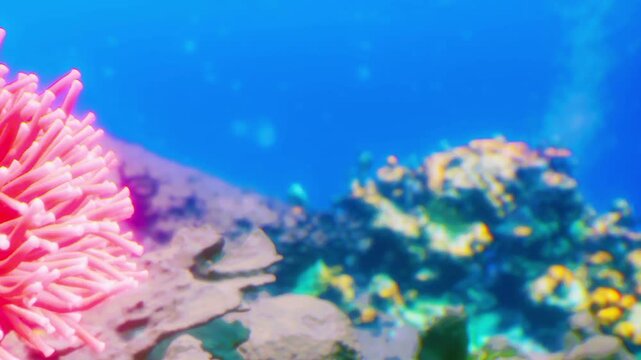 A coral reef is visible under clear blue water with sunlight shining down. Pink coral stands out near other colorful coral. Fish swim among the reefs creating a lively scene.