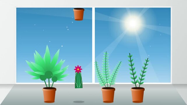 Vector animation of cute potted houseplants on a windowsill with a hovering cactus under a bright sunny blue sky seen through a large window
