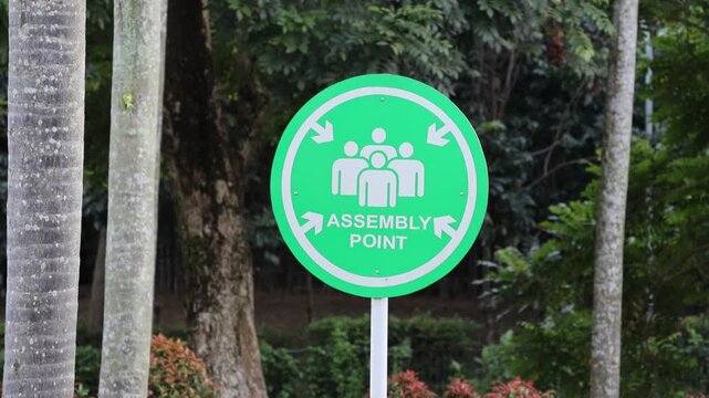 Green circular sign marks assembly point. White arrows point inward, guiding people. Three human figures shown, suggesting group meeting. Background features trees and orange flowering bushes