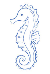 Cute ocean sea horse. Hand drawn vector illustration. Isolated design. © Karina Martirosova