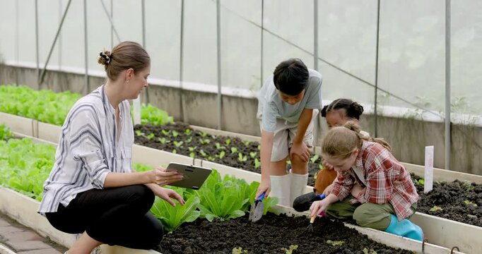 Female teacher guides three young students digging soil with small trowels beside leafy vegetables in school greenhouse, building gardening skills, plant care, practical learning, teamwork skills.