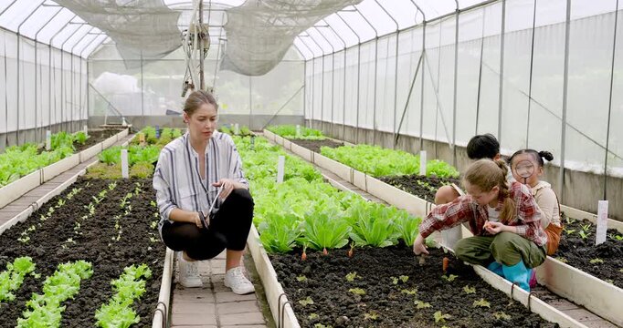 Female teacher supervises young children working in greenhouse garden bed as students dig soil and plant vegetables, combining teacher guidance, teamwork, practical learning, sustainability education.