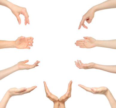 Set of Woman Hands with different gestures, isolated on transparent background