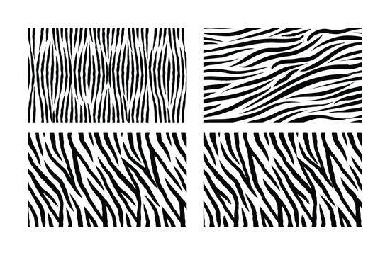 Collection of four different black and white zebra stripe patterns