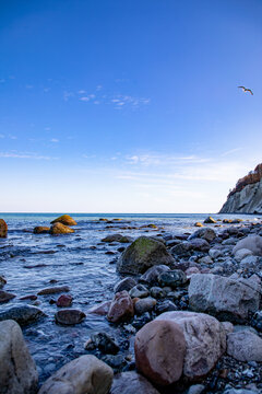 View of the rocky coastline of Rugen with large boulders on the shore and a seagull flying over the sea in Mecklenburg-Vorpommern, Germany.