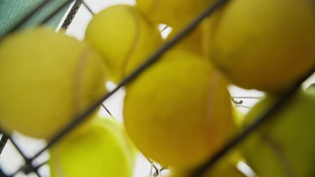 Young woman dropping tennis balls into metal basket, filmed from low angle inside hopper. Visual serves sports coaching and athletic training campaigns