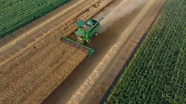 Aerial view of a combine harvester harvesting beside green crops