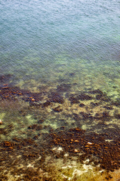 View of the clear Baltic Sea waters over the rocky and seaweed-covered seabed near the coast of Rugen, Mecklenburg-Vorpommern, Germany.