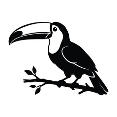 Obraz premium Toucan bird illustration