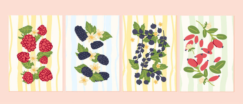 Modern Mediterranean berry poster featuring raspberries, blackcurrants, blackberries, gooseberries and barberries arranged on a contemporary checked background, hand drawn vector illustration