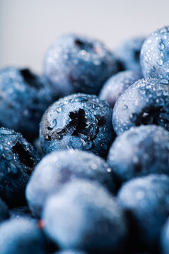 Fresh blueberries with water drops macro close up. Selective focus.
