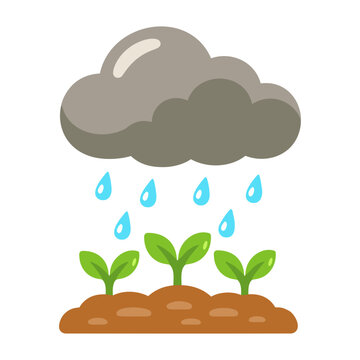 Gray rain cloud releasing blue raindrops over three small green sprouts growing from brown soil, shown as a clean flat weather and farming icon.