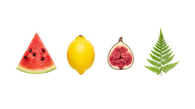 Vibrant summer composition featuring a juicy watermelon slice, bright yellow lemon, fresh organic fig, and green fern on transparent background