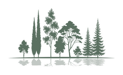 A collection of various tree silhouettes with reflections on a white background © Mostafizur