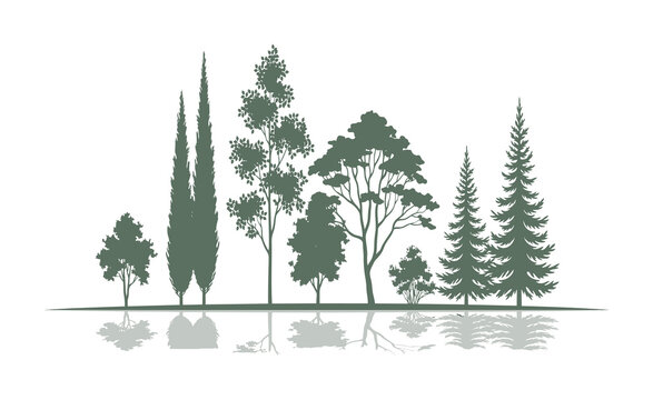 A collection of various tree silhouettes with reflections on a white background