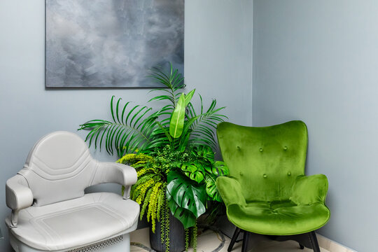 Modern interior design showcases a cozy corner with a gray wall, abstract artwork above, a vibrant green plant, and two stylish chairs, one gray and one green, enhancing the aesthetic appeal