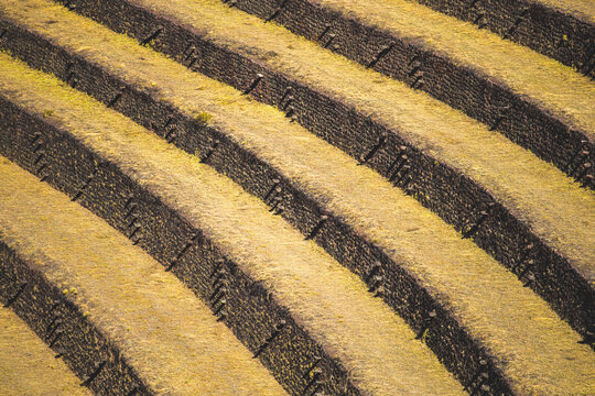 View of the ancient Inca agricultural terraces of the Sacred Valley with stone retaining walls and grassy slopes in Urubamba Province, Cusco, Peru.