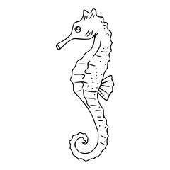 classic seahorse marine creature line art vector illustration © Zen20