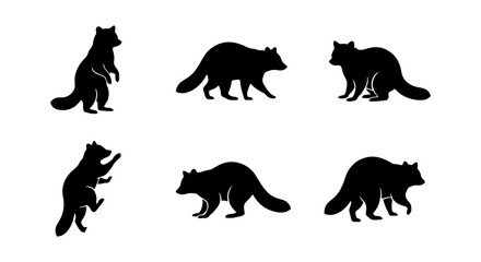 Fototapeta premium Raccoon Silhouettes Collection, Six Vector Icons, Wildlife Animal Poses, Black and White Graphic Elements, Nature Mammal Art