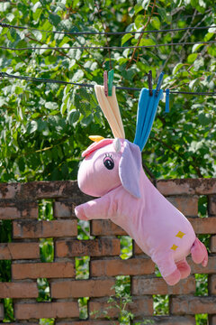 A washed soft toy is hanging