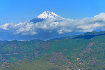 Fototapeta premium 伊豆半島 伊豆山稜線歩道 ミソウ台より望む初冬の富士山 