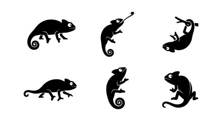 Obraz premium Chameleon Icon Set, Reptile Silhouette Collection, Animal Vector Graphics, Wildlife Art, Nature Elements, Tropical Creatures, Lizard Art