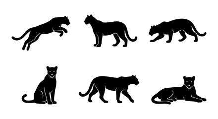 Obraz premium Black Panther Silhouettes Set, Wild Cat Vector Icons, Big Cat Poses, Feline Animal Graphics, Elegant Predator Collection, Minimalist Wildlife Art