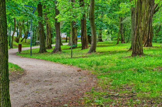Views in the city park at the end of the fading summer.
