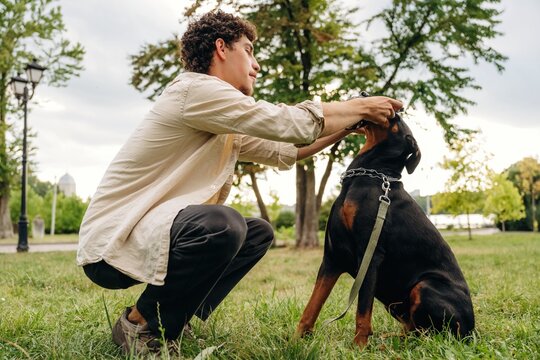 Young man kneeling on grass in a park, gently adjusting collar on a black and tan Rottweiler dog, surrounded by trees and park scenery in the background