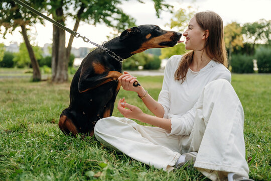 Young woman sitting on grass with a Doberman dog, enjoying a playful moment in a park, surrounded by trees and greenery on a sunny day