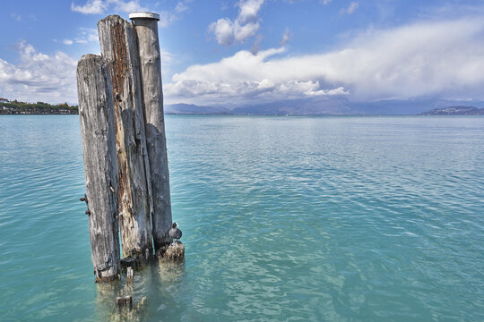 View of Lake Garda with weathered wooden mooring posts and a coot bird resting on the structure, set against a backdrop of distant mountains and clear blue water in Veneto, Italy.